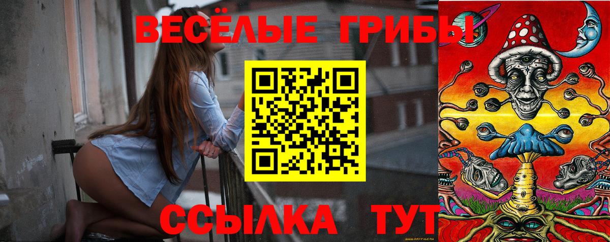Ипатово  Псилоцибиновые грибы GOLDEN TEACHER  где найти   Вход с VPN 